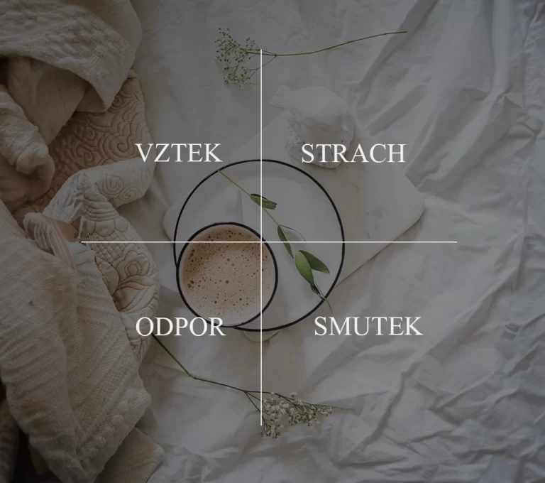 čtyři hlavní emoce